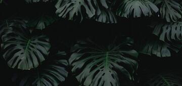 Road trip map planning layout